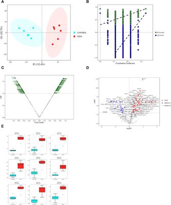 Effect of high NEFA concentration on lipid metabolism disorders in hepatocytes based on lipidomics